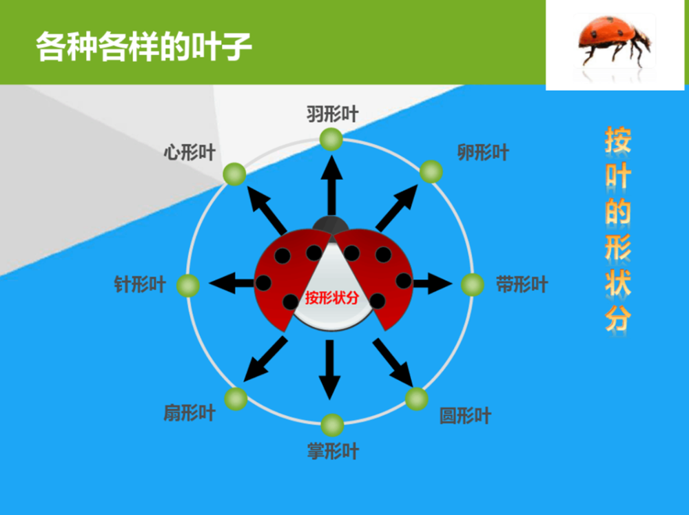 5ed7ebf55076495da35b9ef4b12460d0.png