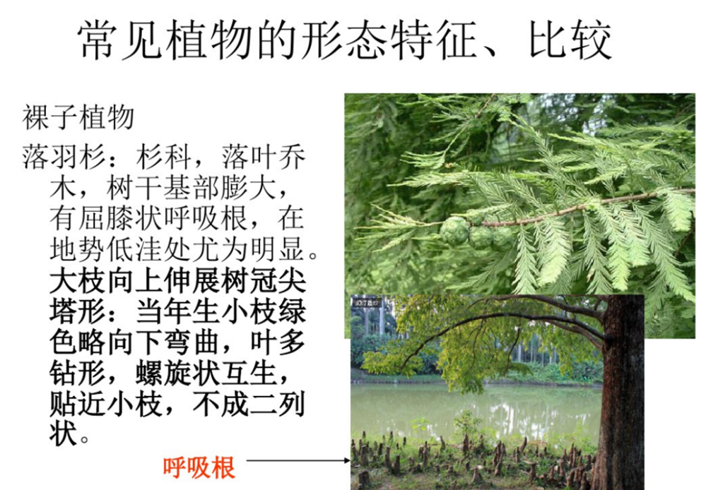 cffe20a4961743869e650e5c26650b34.png
