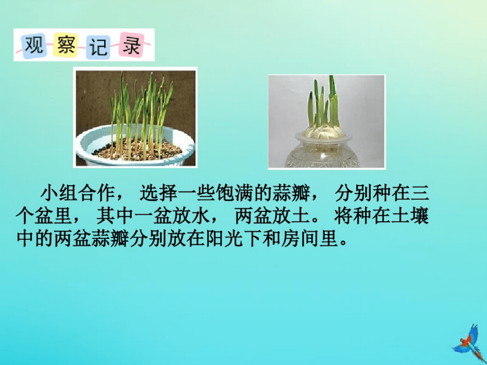 685a01ea5eb74e7c984f345482bca942.png